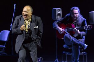 el flamenco se da cita en el Concurso de Arte Flamenco de Córdoba
