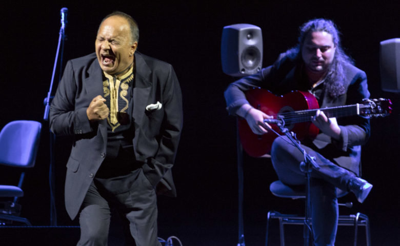 Flamenco en el Auditorio Nacional: todos los meses un gran artista