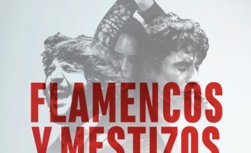 FLAMENCOS Y MESTIZOS- DEL 13 al 16 de Diciembre-Sala Berlanga