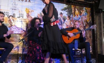 VIII Concurso de baile flamenco Villa Rosa
