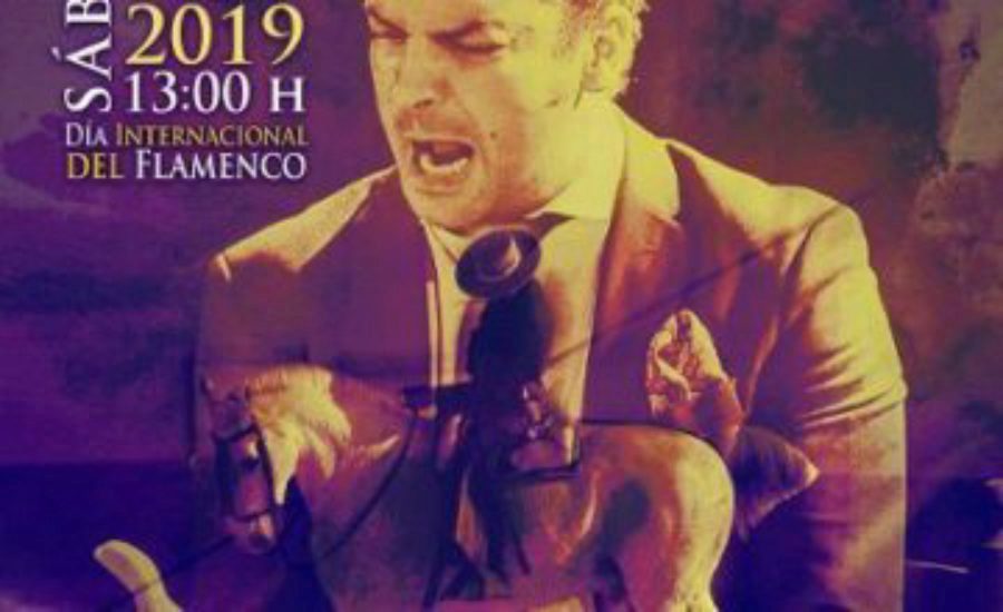 Flamenco y caballos en el Día Internacional del Flamenco