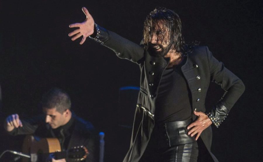 Flamenco Real, una experiencia única y selecta con 30 espectáculos de cante y baile