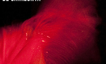 Del 12 al 17 de mayo, Festival de Arte Flamenco de Cataluña, on line, transmitido por Redes