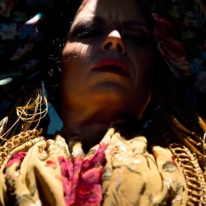 Flamencos solidarios frente al Coronavirus: Arte flamenco gratuito en Internet