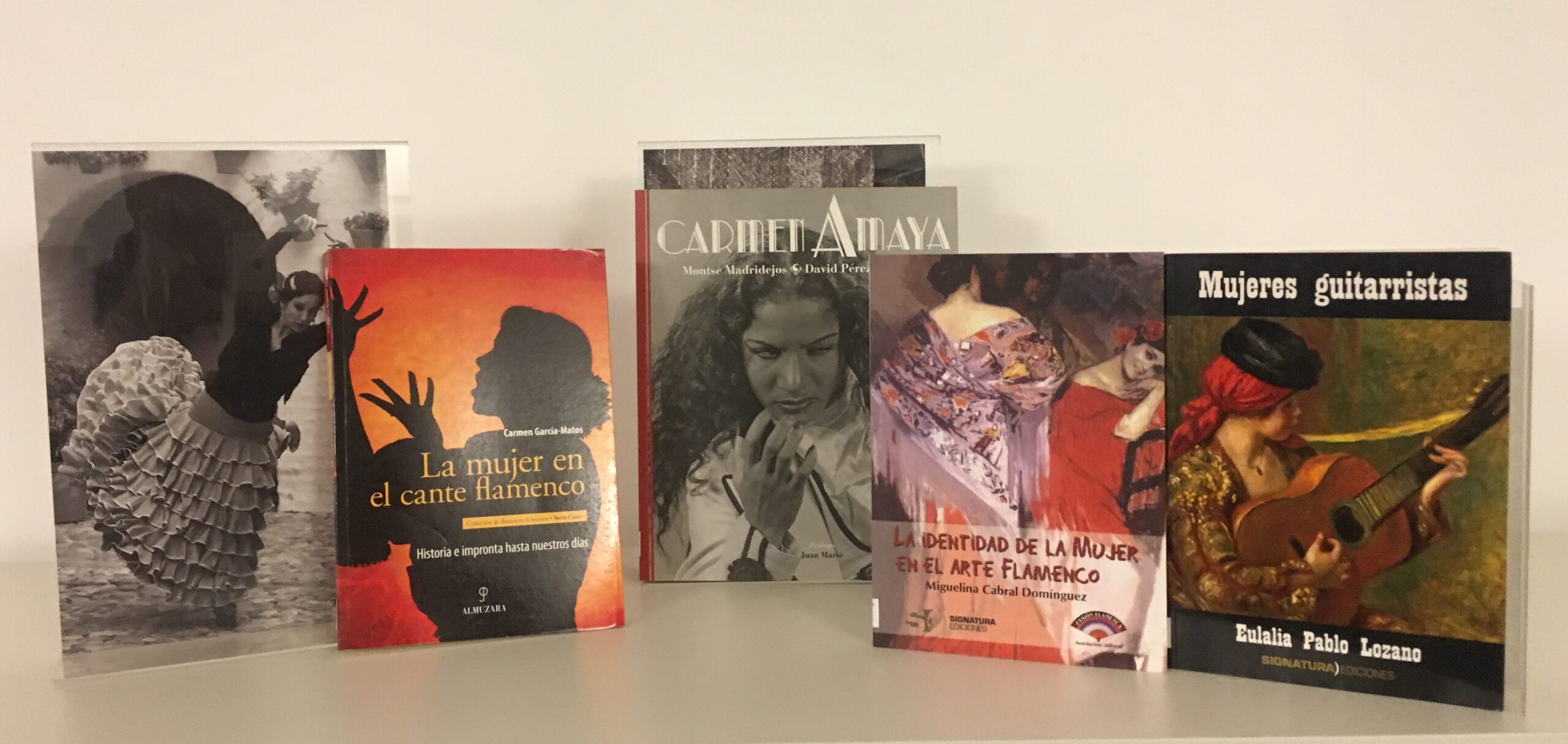 Bibliotecas y archivos digitales del flamenco