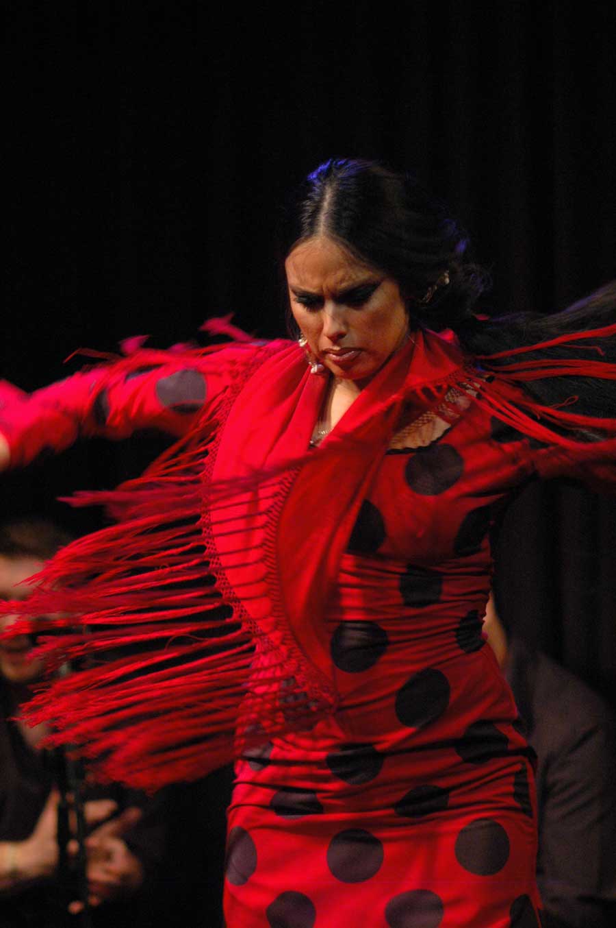 Flamenco Real vuelve a partir del 14 de diciembre