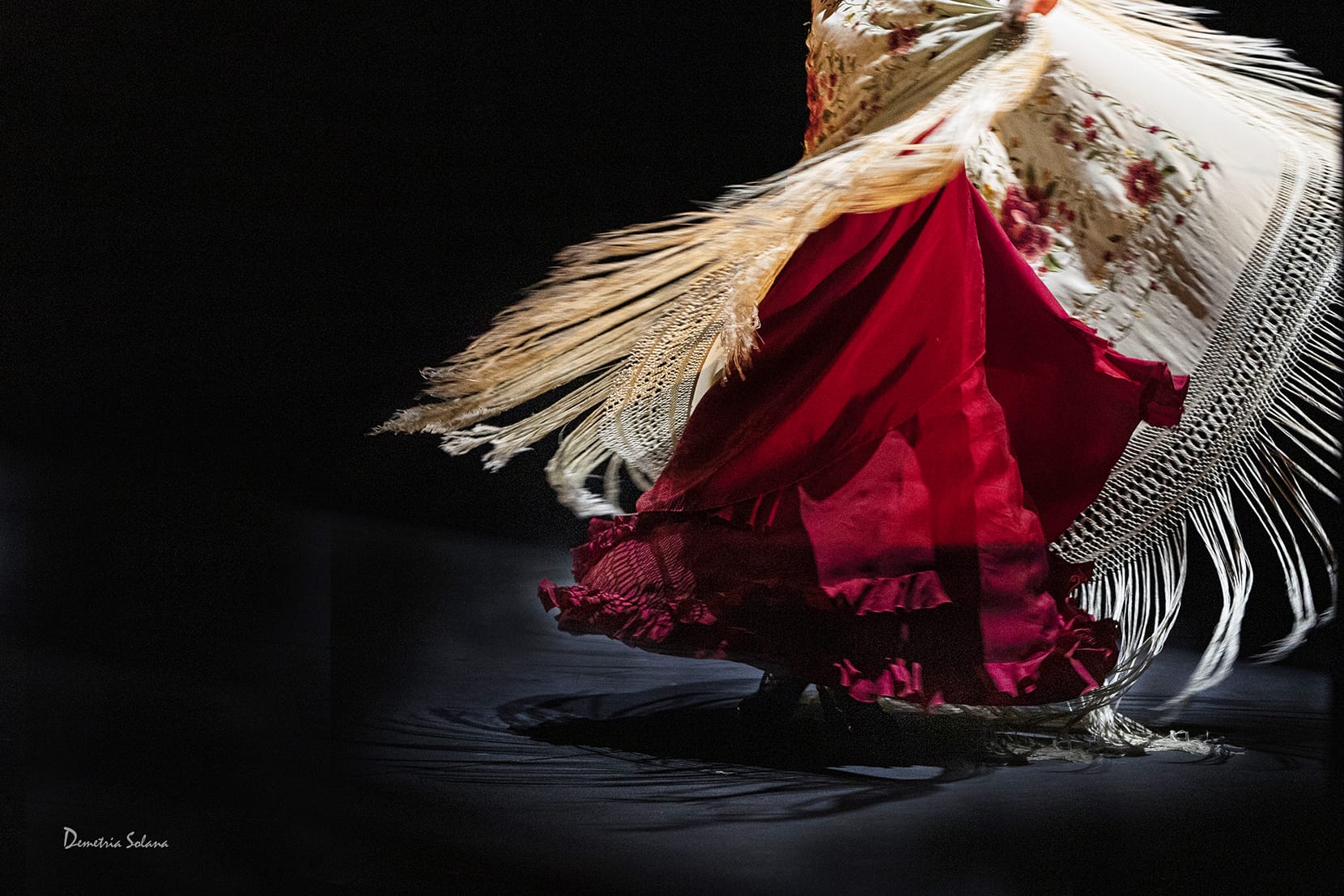 16 de noviembre, Día Internacional del Flamenco, con múltiples actividades en vivo