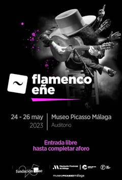 Banner Arte Flamenco Malaga