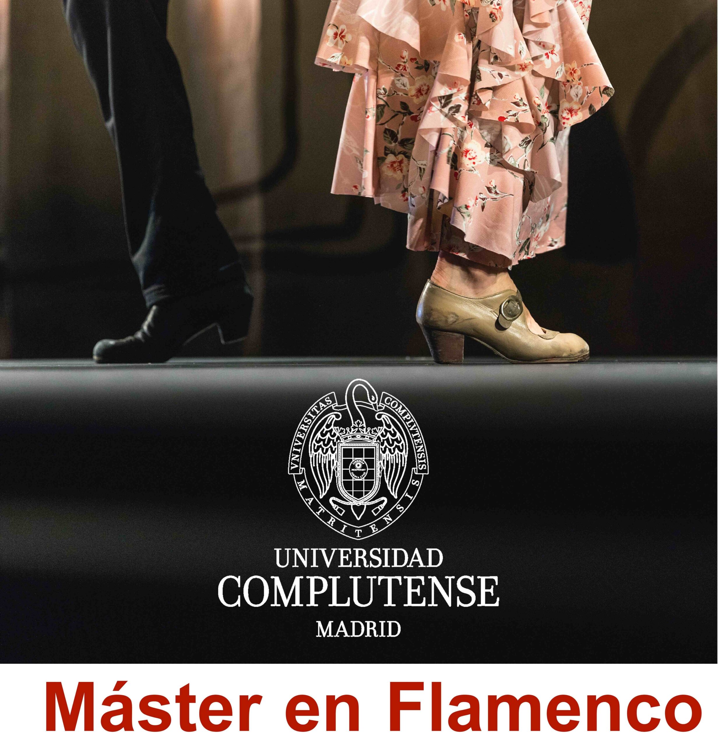 Abierto plazo pre-inscripción al Máster en Flamenco 2023-2024 de la Universidad Complutense