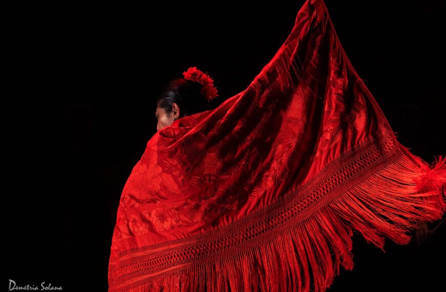 Cientos de actividades para celebrar el XV aniversario del Flamenco como Patrimonio de la Humanidad
