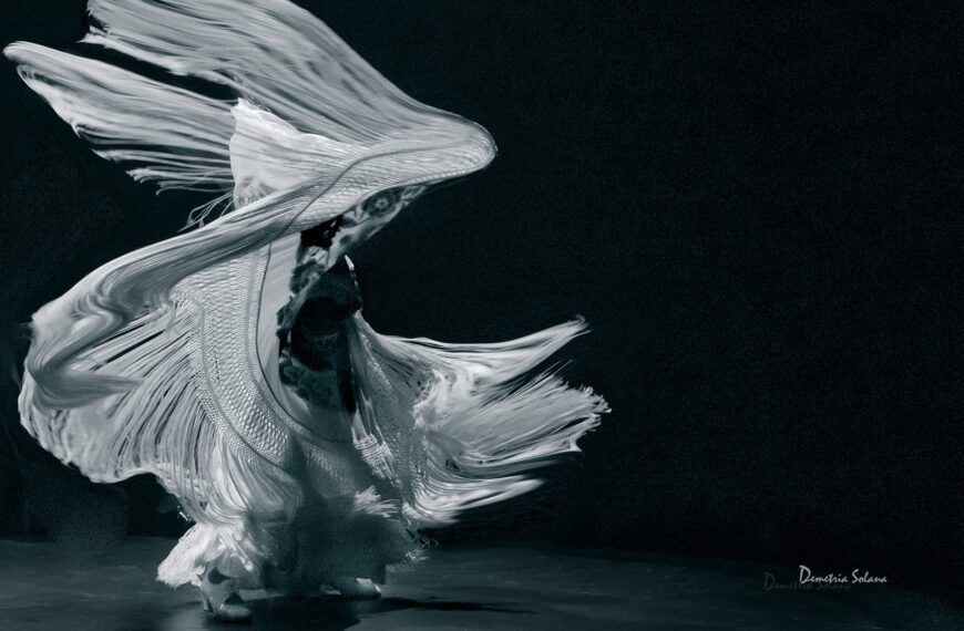 Llamada al Flamenco: Andalucía celebra el Día del Flamenco con un centenar de actividades