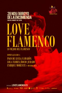Banner Love Flamenco - Arroyo de la Encomienda