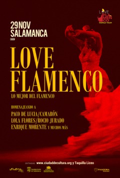 Banner Love Flamenco - Salamanca