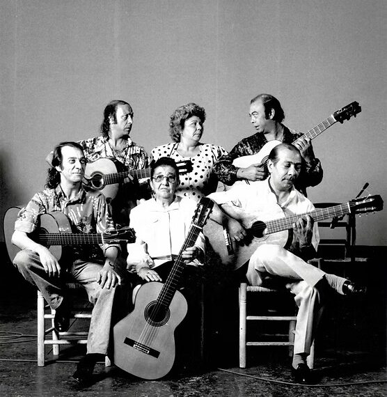 Cuidando el flamenco